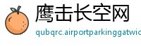 鹰击长空网